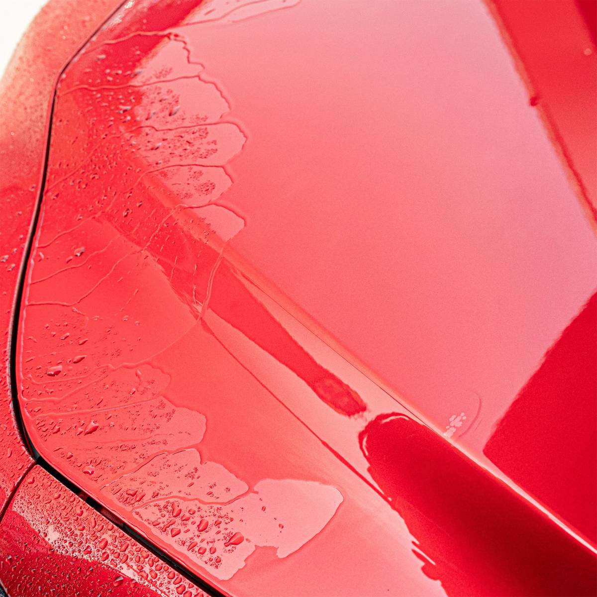 Sprüh-Versiegelung - 1,0 Liter - CLEANPRODUCTS