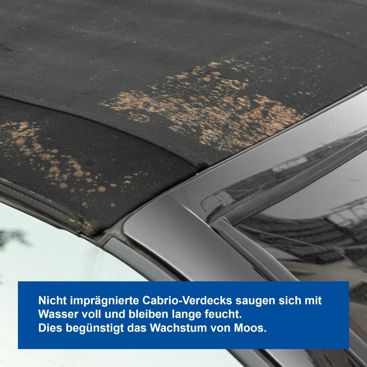 Imprägnier-Spray - 5 Liter - CLEANPRODUCTS